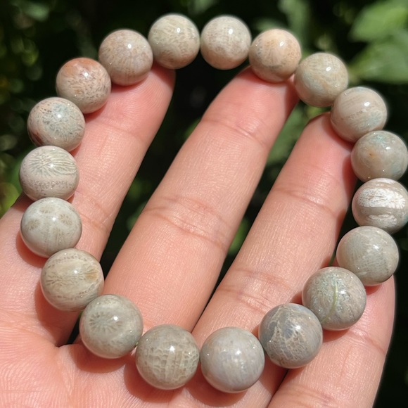 10.5mm 7 inches stretchable fossilized coral bracelet - Picture 1 of 8